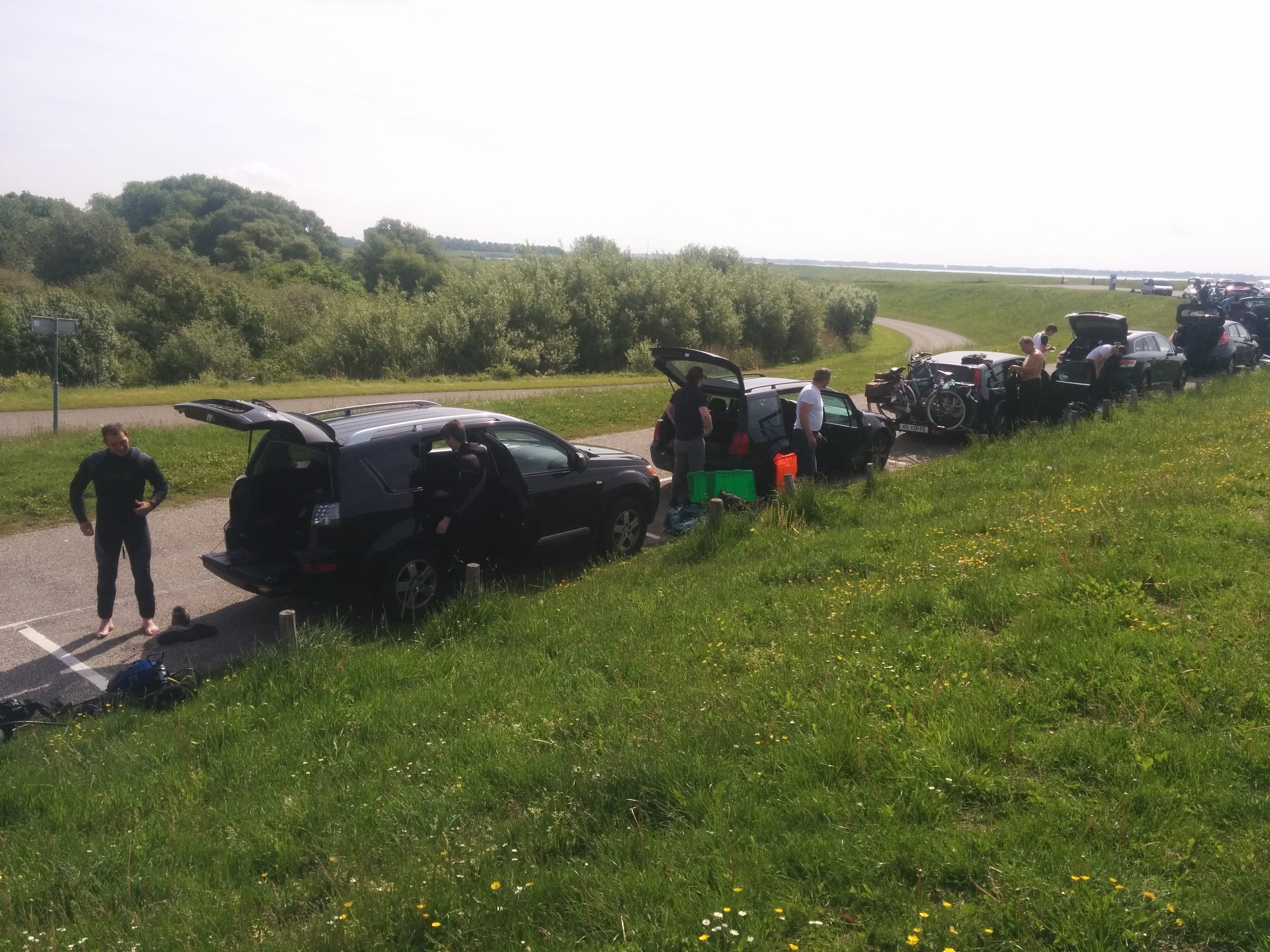 Clubduik in de oosterschelde