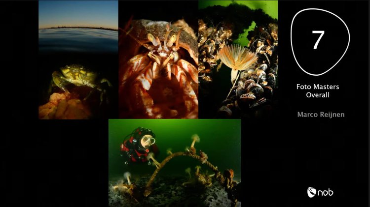 Marco Reijnen 7de overall bij de masters ONK onderwaterfotografie 2021